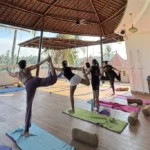 Group yoga class in an open-air tropical studio with scenic jungle views