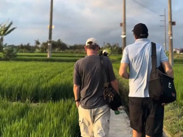 two man walking on the green rice field